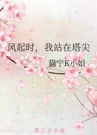 風起時，我站在塔尖