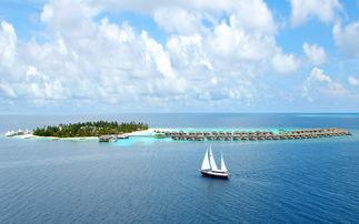 芳心似海情人渡