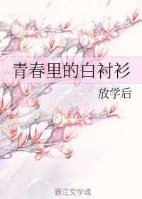 青春裏的白襯衫