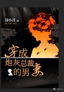 穿成炮灰總裁的男妻