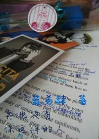 再也沒有你這樣的人