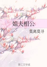 姐夫相公