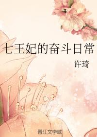 七王妃的奮鬥日常