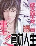 重生之官財人生