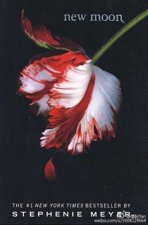 [暮光]假如和你相遇