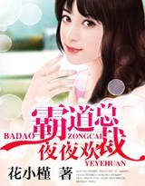 霸道總裁夜夜歡