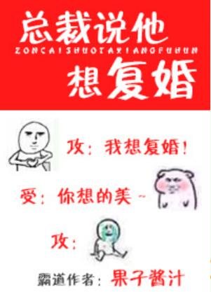 總裁說他想複婚