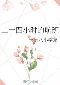 二十四小時的航班