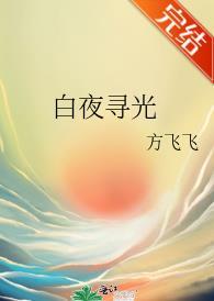 白夜尋光