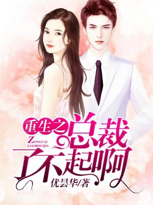 重生之總裁了不起啊