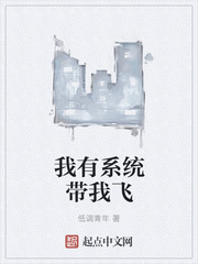 我有系統帶我飛