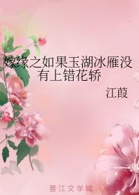 嫁緣之如果玉湖冰雁沒有上錯花轎