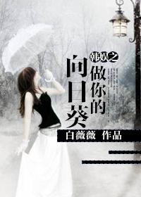 韓娛之做你的向日葵