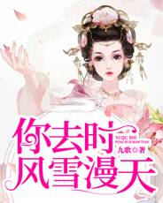 你去時，風雪漫天