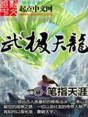 武極天龍