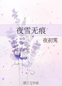 夜雪無痕