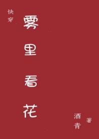 霧裏看花(快穿)