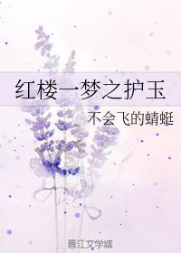 紅樓一夢之護玉