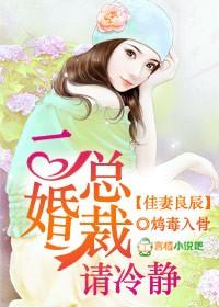 佳妻良辰，二婚總裁請冷靜