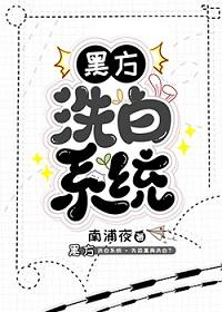 黑方洗白系統