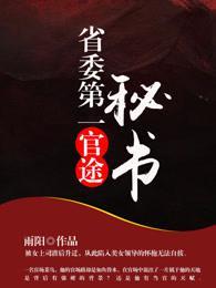 官途：省委第一秘書