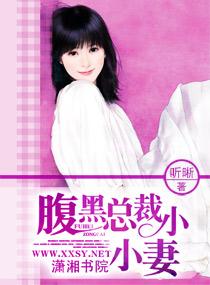 腹黑總裁小小妻