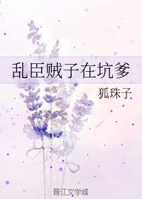 亂臣賊子在坑爹