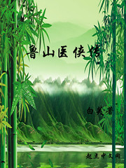 魯山醫俠傳
