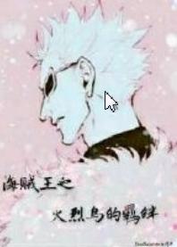 海賊王之火烈鳥的羁絆