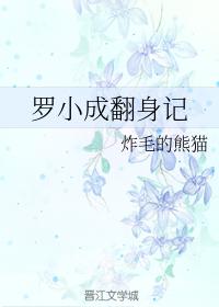 羅小成翻身記