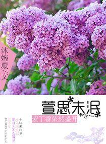 萱思未泯紫丁香依然盛開