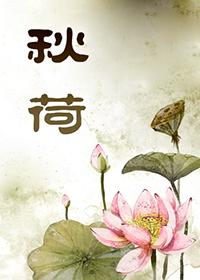 秋荷--愛正劇就一定要看