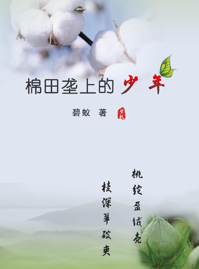 棉田壟上的少年