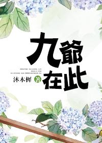 九爺在此