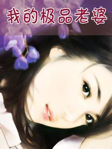 我的極品老婆回憶錄