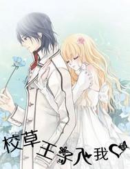 校草王子入我心