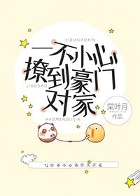 一不小心撩到豪門對家