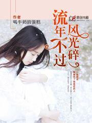 流年不過風光碎