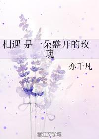 相遇 是一朵盛開的玫瑰