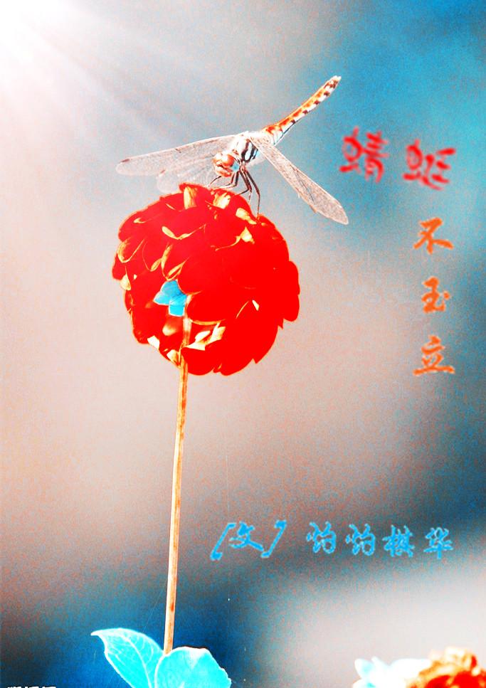 蜻蜓不玉立