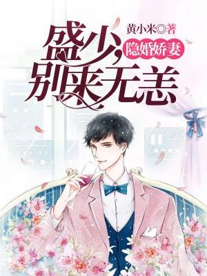 隐婚嬌妻：盛少，別來無恙