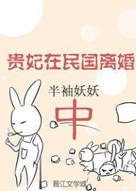 貴妃在民國離婚中