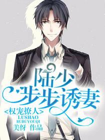 權寵撩人：陸少步步誘妻