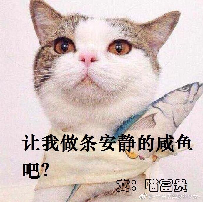 讓我做條安靜的鹹魚吧？