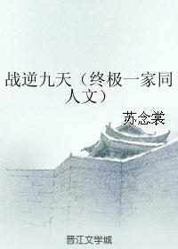 戰逆九天（終極一家同人文）