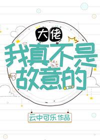大佬，我真不是故意的