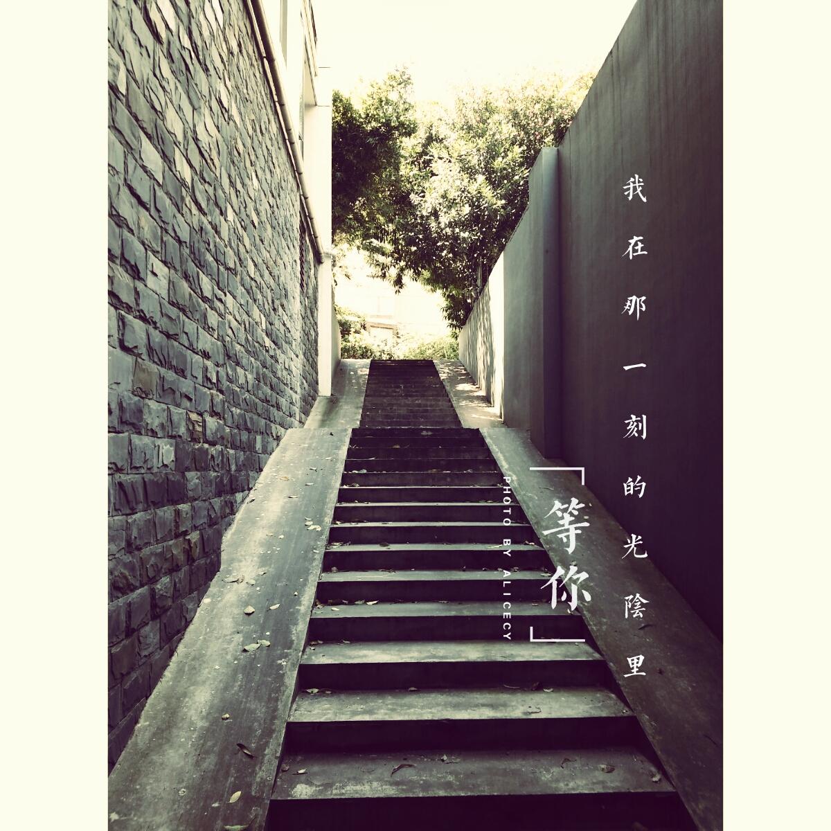 突如其來的愛情